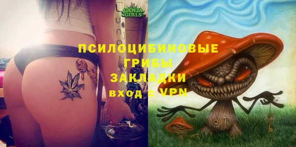 спайс Козельск