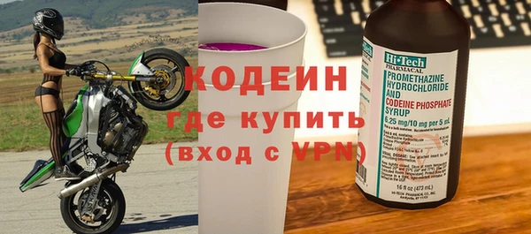 индика Нижневартовск