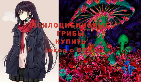 apvp Козловка