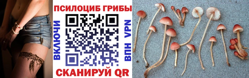 даркнет сайт  Сорск  Галлюциногенные грибы Magic Shrooms 